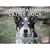 Australian Cattle Dogs 2026 Calendar