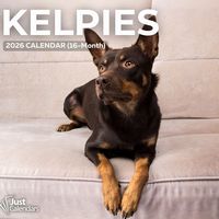 Australian Kelpies 2026 Calendar