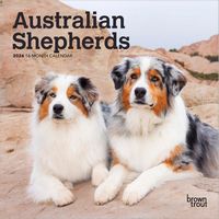 Australian Shepherds 2026 Calendar