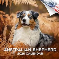 Australian Shepherds 2026 Wall Calendar