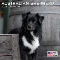 Australian Shepherds 2026 Wall Calendar