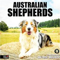 Australian Shepherds 2026 Wall Calendar
