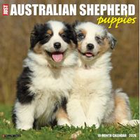 Australian Shepherd 2026 Calendar