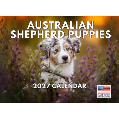 Australian Shepherd Puppies 2027 Calendar