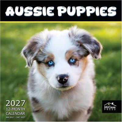 Aussie Puppies 2027 Calendar