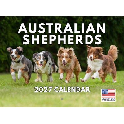 Australian Shepherds 2027 Wall Calendar