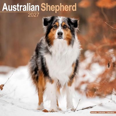 Australian Shepherd 2027 Wall Calendar