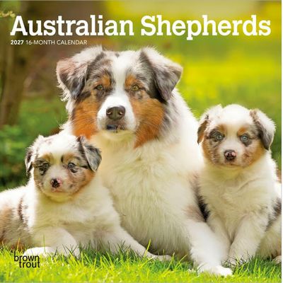 Australian Shepherd 2027 Mini Wall Calendar