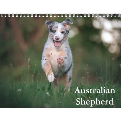 Australian Shepherds Calendar