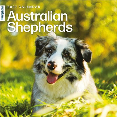 Australian Shepherds 2027 Wall Calendar