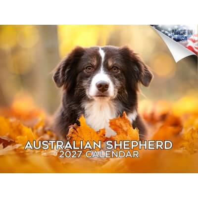 Australian Shepherds 2027 Wall Calendar