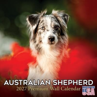 Australian Shepherds 2027 Wall Calendar