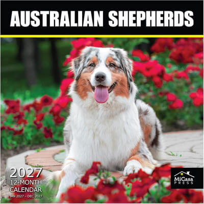 Australian Shepherds 2027 Wall Calendar