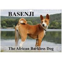 Basenji 2026 Calendar