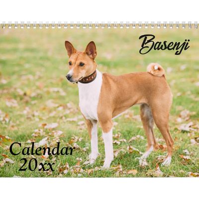 Basenji Calendar