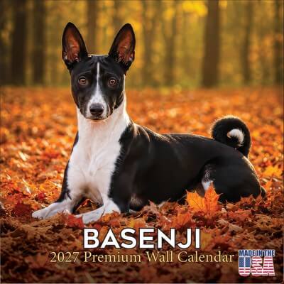 Basenji 2027 Wall Calendar