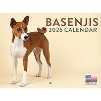 Basenji 2026 Calendar