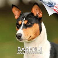 Basenji 2026 Calendar