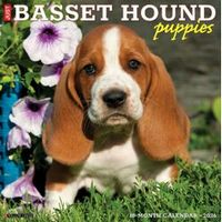 Basset Hound Puppies 2026 Calendar