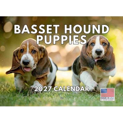 Basset Hound Puppies 2027 Calendar