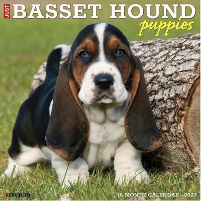 Basset Hound Puppies 2027 Calendar