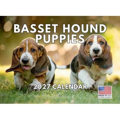 Basset Houng Puppy Walking Planner
