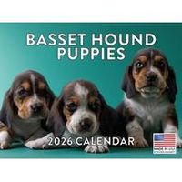 Basset Hound Puppies 2026 Calendar