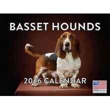 Basset Hounds 2026 Calendar