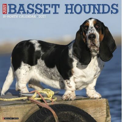 Just Basset Hounds 2027 Calendar