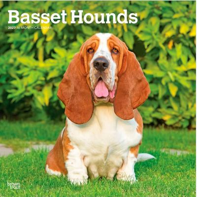 Basset Hounds 2027 Wall Calendar