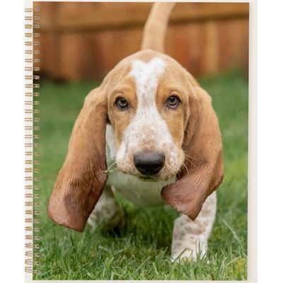 Basset Houng Puppy Walking Planner