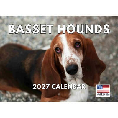 Basset Hounds 2027 Wall Calendar