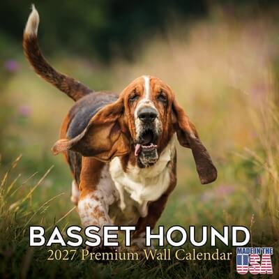 Basset Hounds 2027 Wall Calendar
