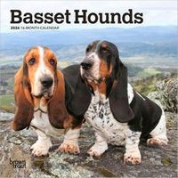 Basset Hound 2026 Calendar