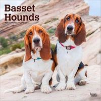 Basset Hounds 2026 Calendar