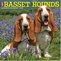 Basset Hounds 2026 Calendar