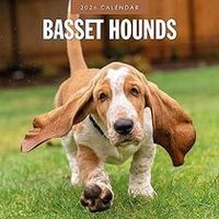 Basset Hounds 2026 Calendar