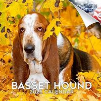 Basset Hounds 2026 Calendar