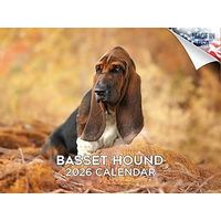 Basset Hounds 2026 Calendar