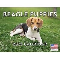Beagle Puppies 2026 Wall Calendar