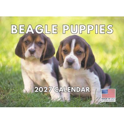 Beagle Puppies 2027 Wall Calendar
