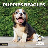 Beagle Puppies 2026 Wall Calendar
