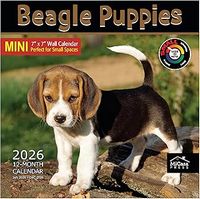 Beagle Puppies 2026 Wall Calendar