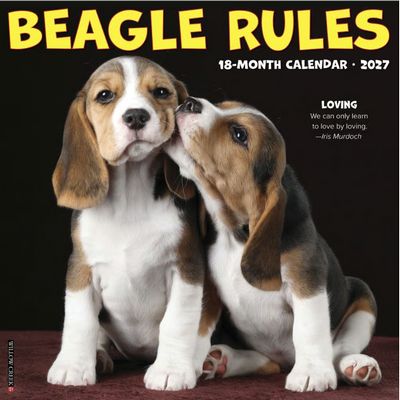Beagle Rules 2027 Wall Calendar
