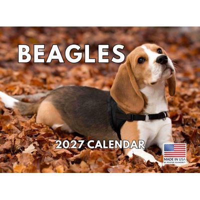 Beagles 2027 Wall Calendar