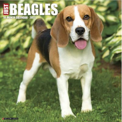 Just Beagles 2027 Wall Calendar
