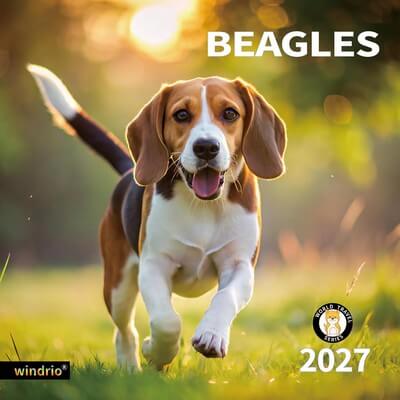 Beagles 2027 Wall Calendar