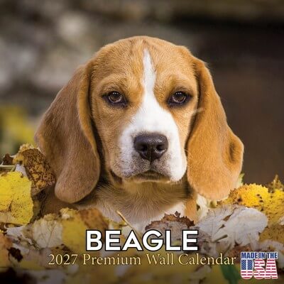 Beagles 2027 Wall Calendar