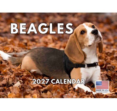 Beagles 2027 Wall Calendar