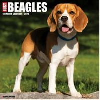 Beagles 2026 Calendar